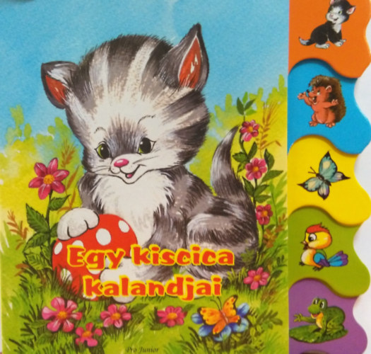 Kniha Egy kiscica kalandjai 