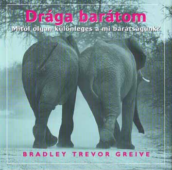 Buch Drága barátom Bradley Trevor Greive