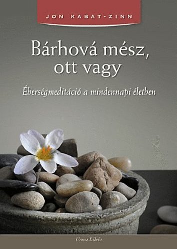 Book Bárhová mész, ott vagy Jon Kabat-Zinn