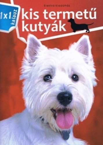Könyv Kis termetű kutyák Bernáth István