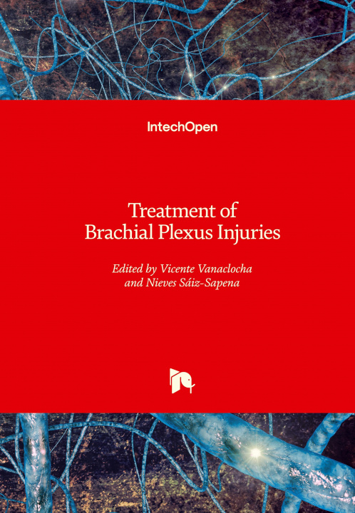 Knjiga Treatment of Brachial Plexus Injuries Nieves Saiz-Sapena