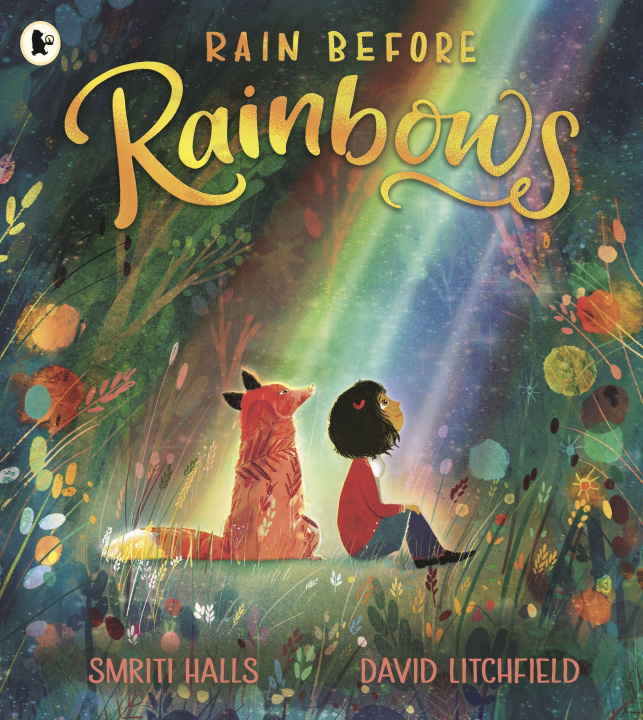Kniha Rain Before Rainbows David Litchfield