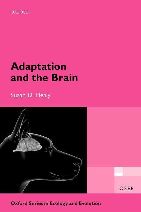 Kniha Adaptation and the Brain Healy