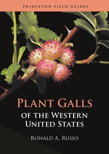 Könyv Plant Galls of the Western United States Ronald A. Russo