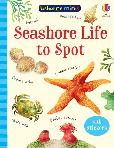 Könyv Seashore Life to Spot SAM SMITH