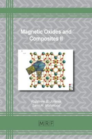 Kniha Magnetic Oxides and Composites II 