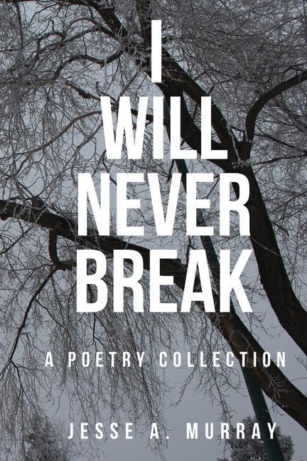 Buch I Will Never Break JESSE A. MURRAY