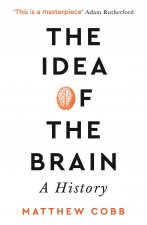 Könyv Idea of the Brain 