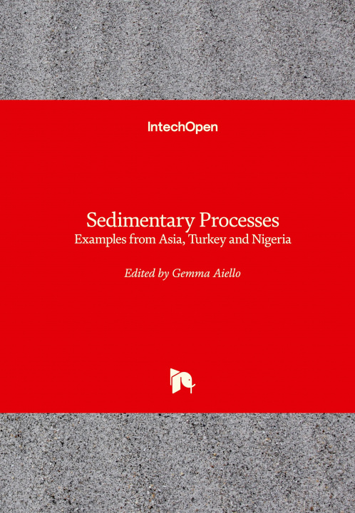 Kniha Sedimentary Processes 