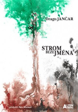 Könyv Strom beze jména Drago Jančar
