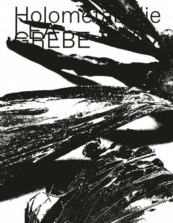 Buch Lea Grebe Friedrich Meschede