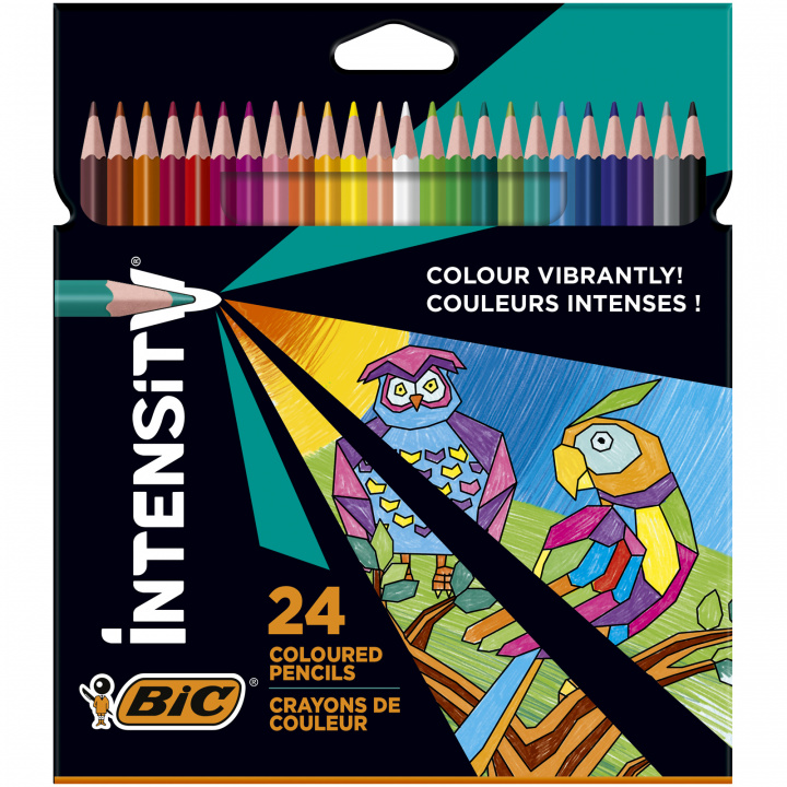 Kniha Kredki ołówkowe Color Up BIC 24 kolory 