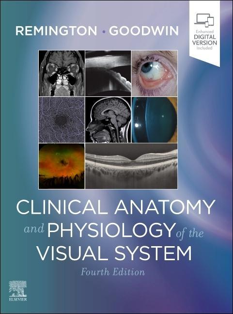 Kniha Clinical Anatomy and Physiology of the Visual System Denise Goodwin
