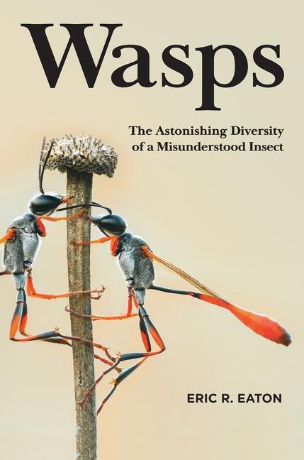 Kniha Wasps - The Astonishing Diversity of a Misunderstood Insect 