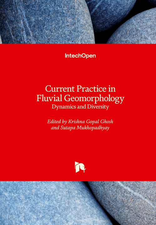 Kniha Current Practice in Fluvial Geomorphology Sutapa Mukhopadhyay