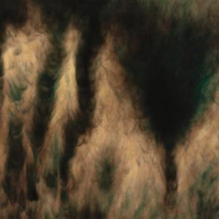 Audio  Lamentations William Basinski