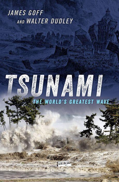 Livre Tsunami Goff