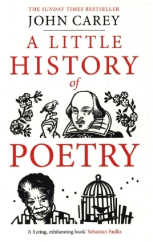 Kniha Little History of Poetry John Carey