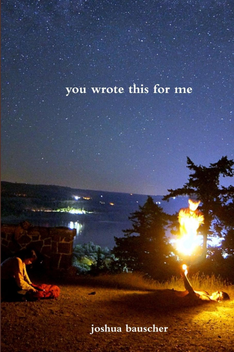 Boek you wrote this for me Joshua Bauscher