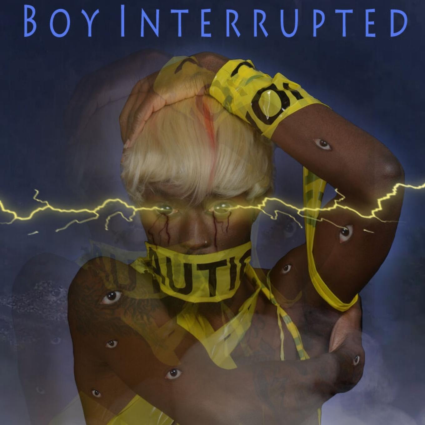 Book Boy Interrupted Arthur Harris