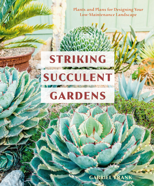 Kniha Striking Succulent Gardens Gabriel Frank