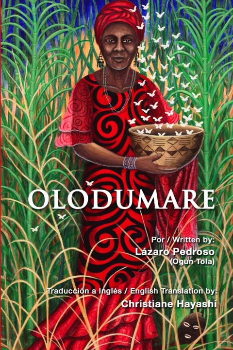 Book Olodumare Lazaro Pedroso