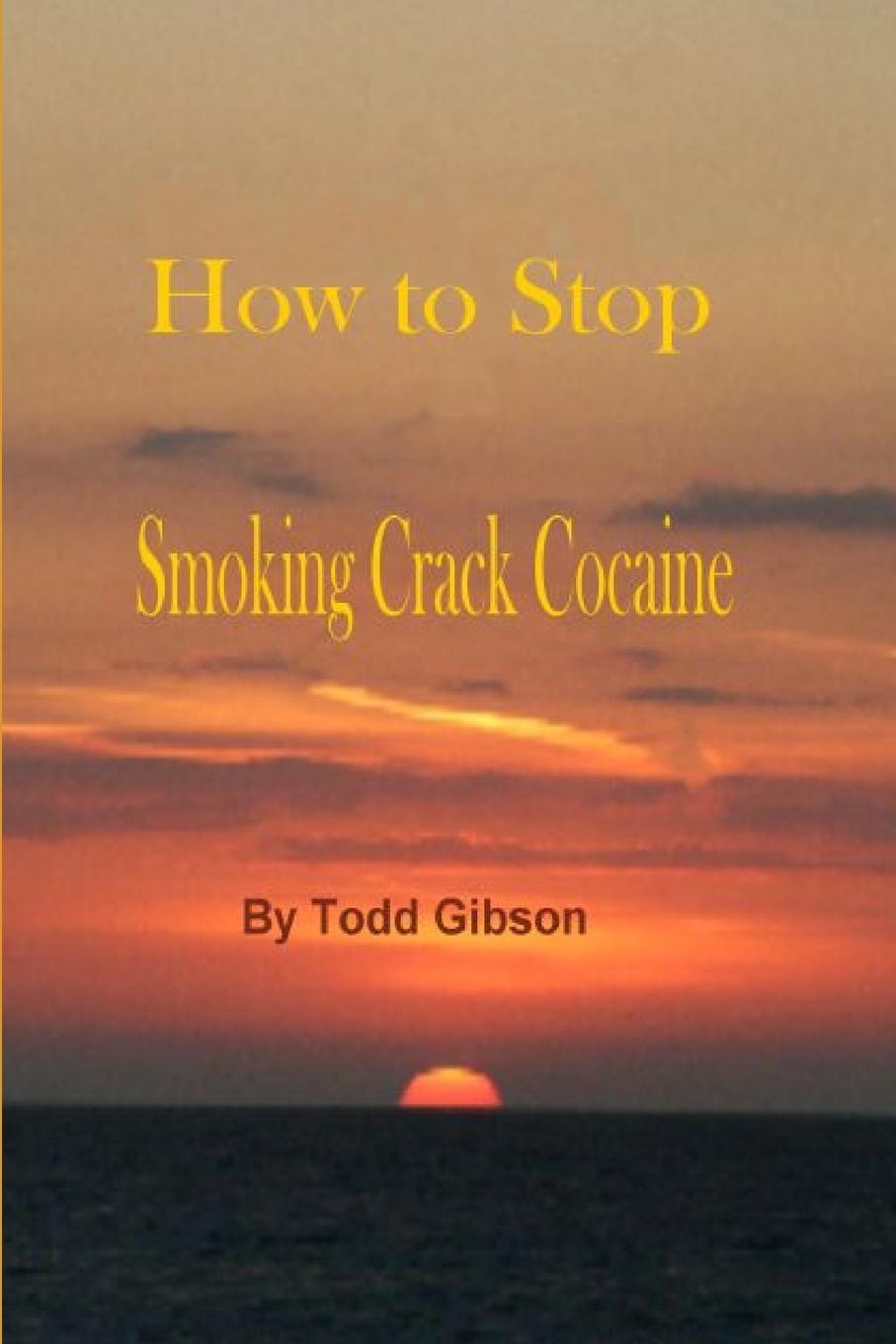 Könyv How to Stop Smoking Crack Cocaine Todd Gibson