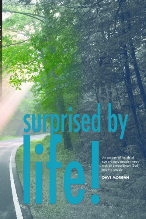 Boek Surprised By Life Dave Morgan