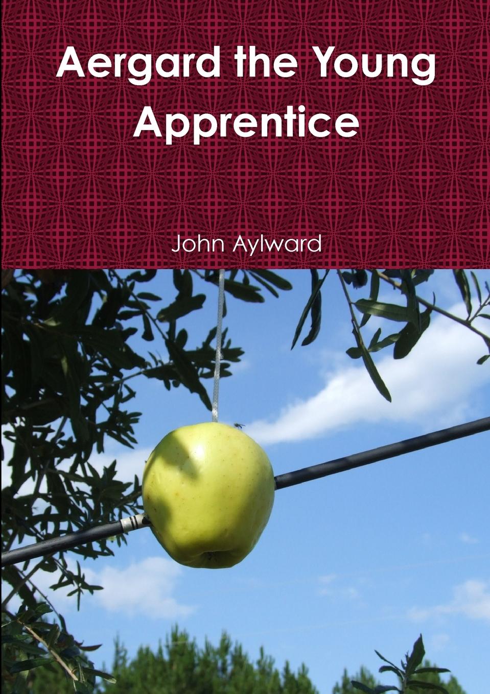 Knjiga Aergard the Young Apprentice John Aylward