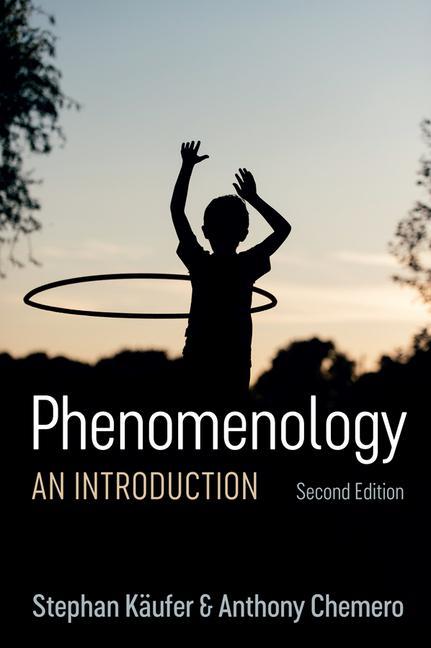 Книга Phenomenology - An Introduction Stephan Kaufer