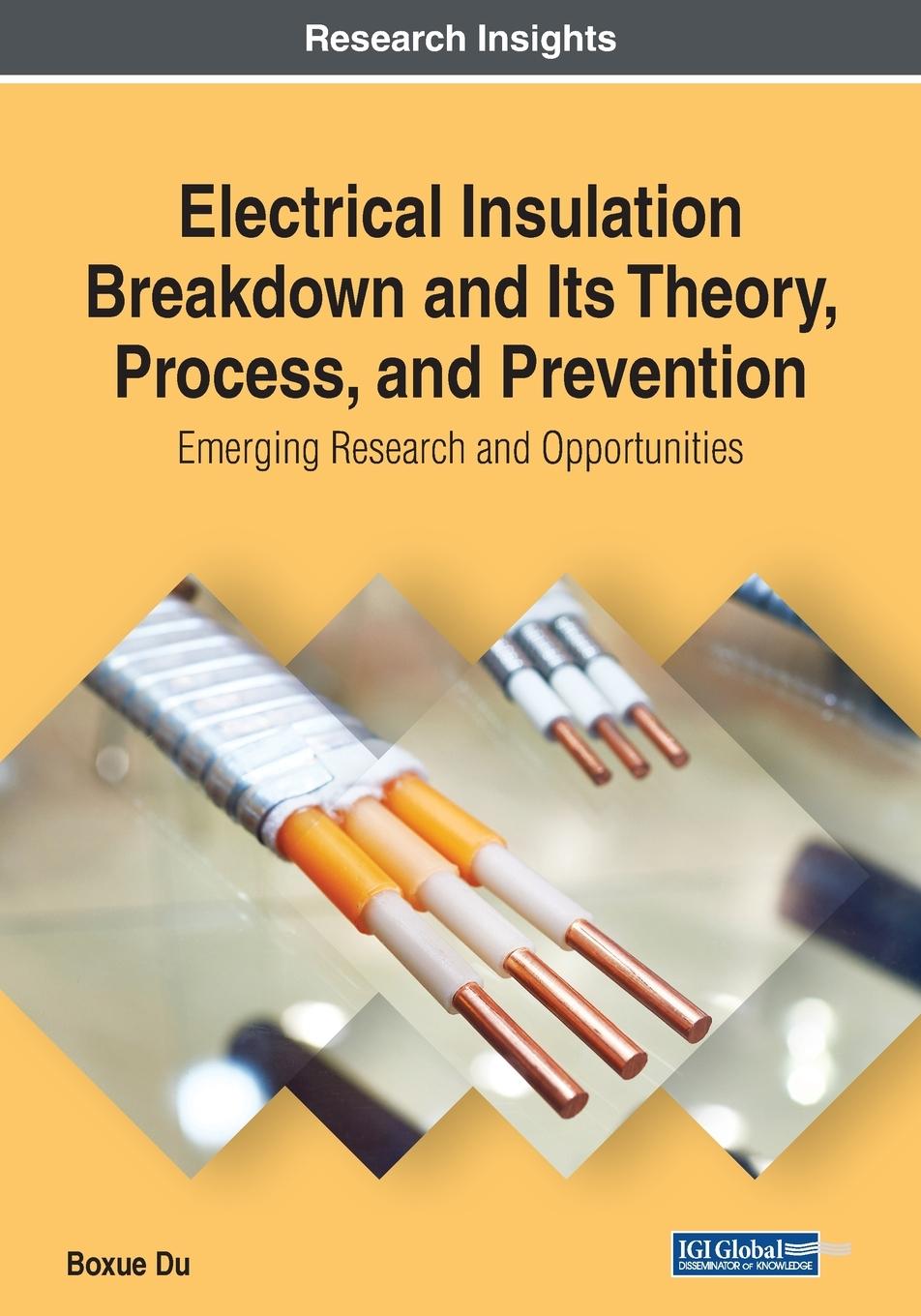 Boek Electrical Insulation Breakdown and Its Theory, Process, and Prevention Boxue Du