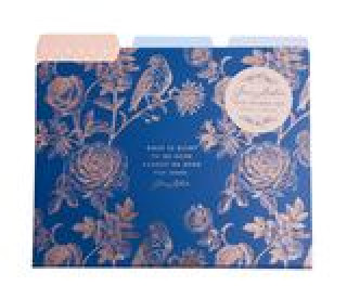 Könyv Jane Austen: File Folder Set Insight Editions