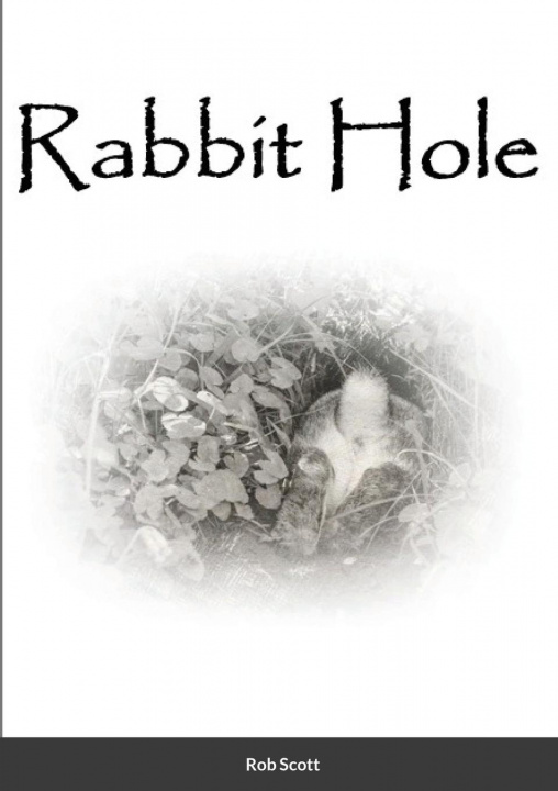 Book Rabbit Hole Rob Scott