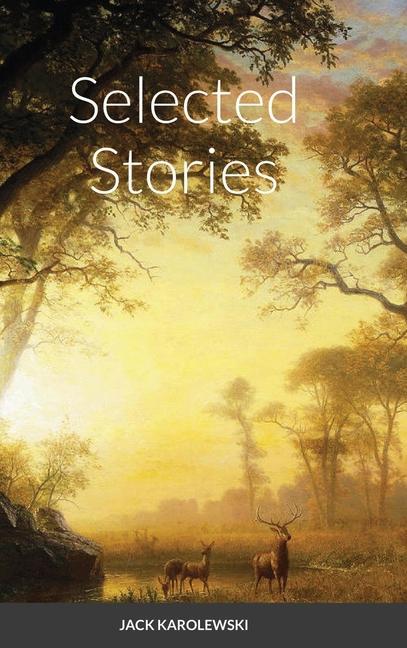 Kniha Selected Stories Jack Karolewski