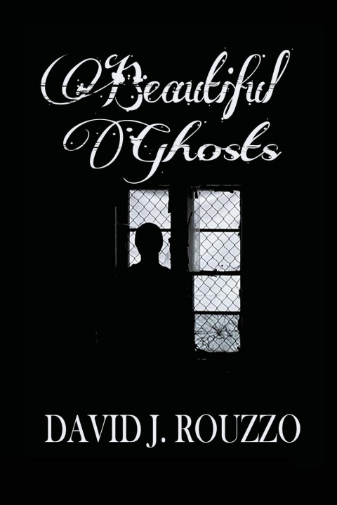 Book Beautiful Ghosts David J Rouzzo