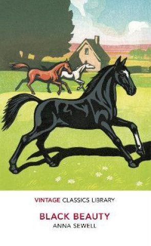 Buch Black Beauty Anna Sewell