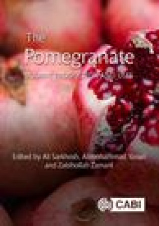 Knjiga Pomegranate Alimohammad Yavari