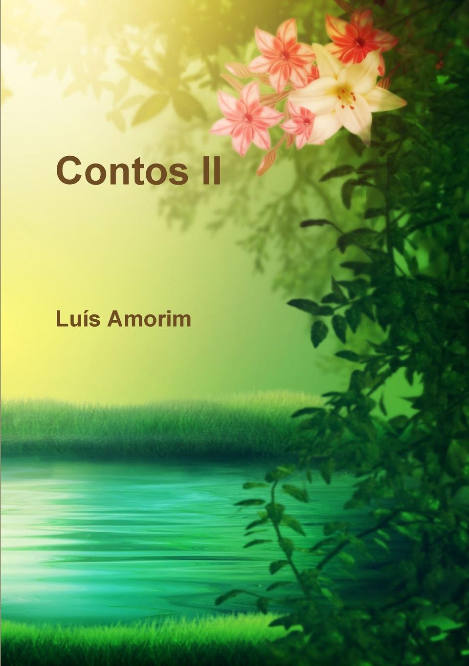 Kniha Contos II Luis Amorim