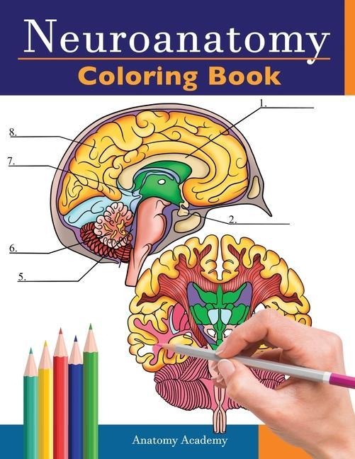 Książka Neuroanatomy Coloring Book ANATOMY ACADEMY