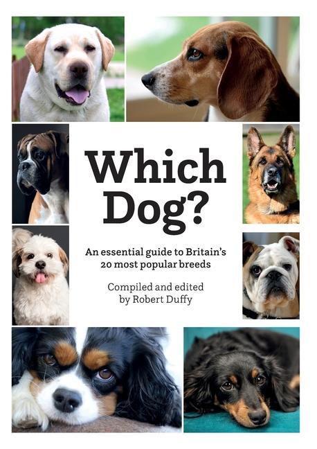 Kniha Which Dog 