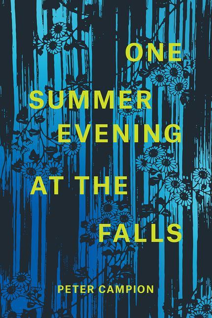 Buch One Summer Evening at the Falls Peter Campion