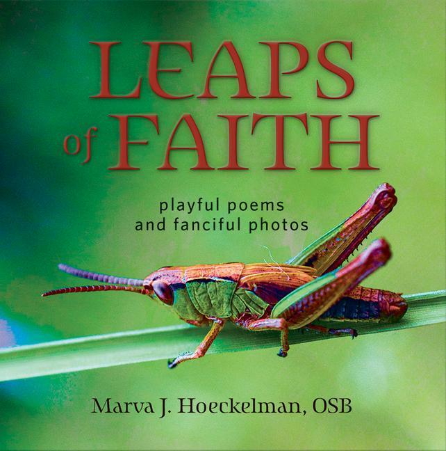 Knjiga Leaps of Faith: Playful Poems and Fanciful Photos Judith Valente