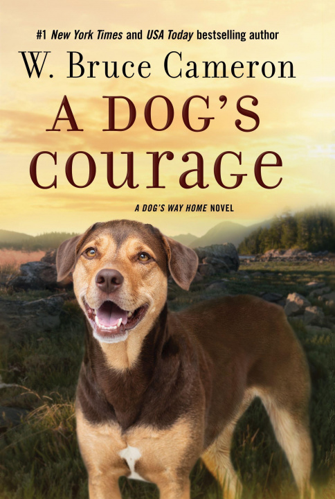 Buch Dog's Courage 