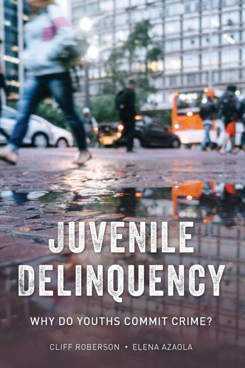 Книга Juvenile Delinquency Elena Azaola