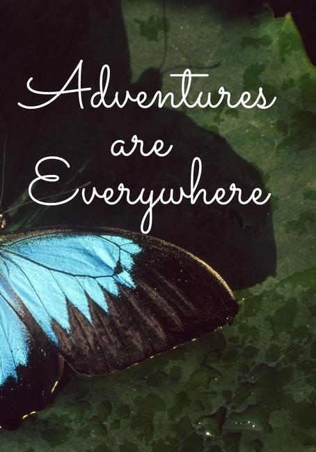 Knjiga Adventures Are Everywhere Erica Shaver