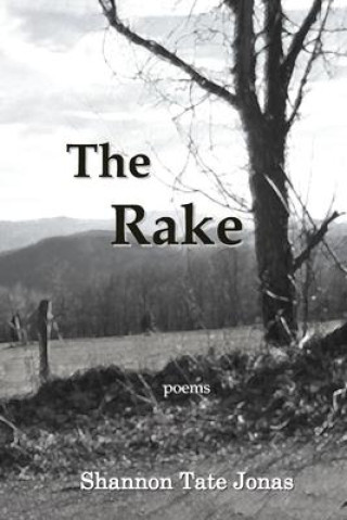 Книга The Rake 