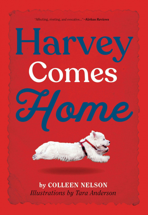 Kniha Harvey Comes Home Tara Anderson