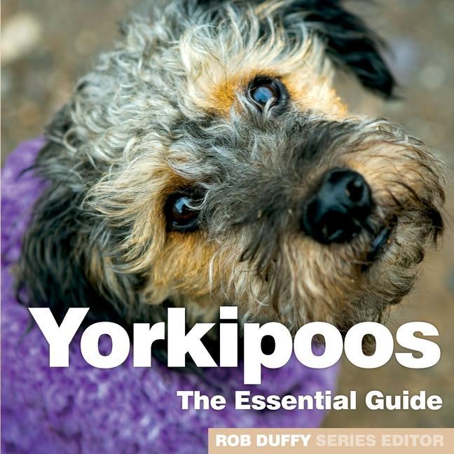 Kniha Yorkipoos 