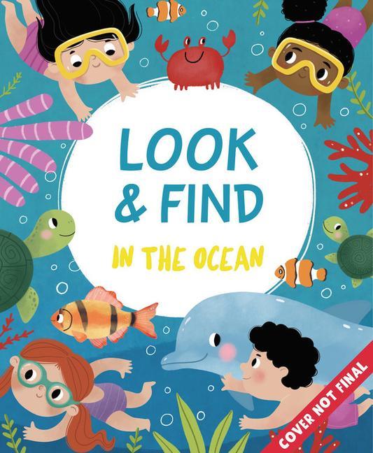 Knjiga In the Ocean: More Than 800 Things to Find! Anastasia Druzhininskaya