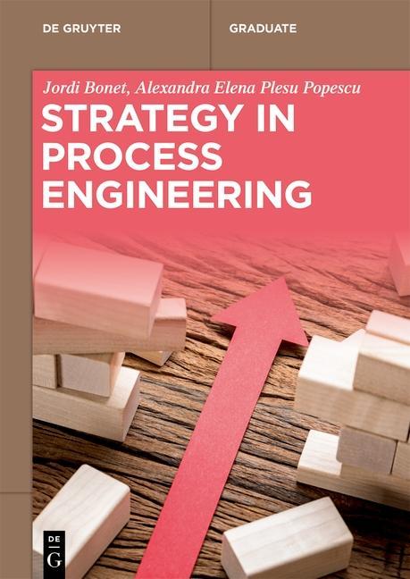 Buch Strategy in Process Engineering Alexandra-Elena Bonet Ruiz